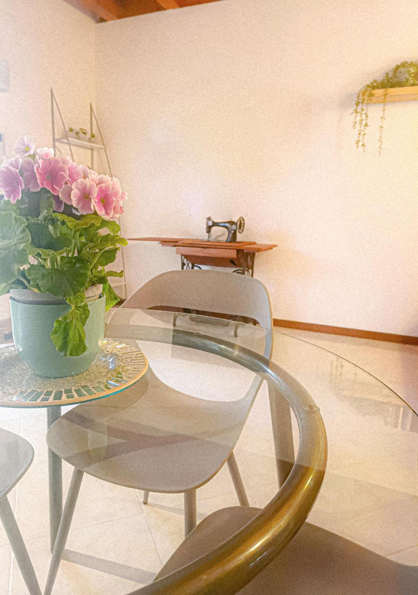 Picnic Apartment Salionze المظهر الخارجي الصورة